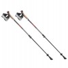 Leki Instructor Lite nordic walking poles