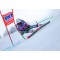 komperdell nationalteam Carbon Skicross 12.3 mm